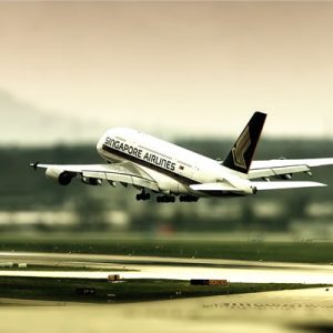 国际海运运输包装的四个重要原因